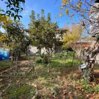 فروش ساختمان تجاری و مسکونی کنار خیابان اصلی|فروش زمین و ملک کلنگی|رضوانشهر, |دیوار