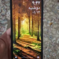 شیامی سالم بدون عیب و ایراد بدون ضربه