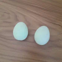 گوهر شب چراغ