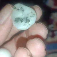 سنک قیمتی|کلکسیون اشیاء عتیقه|چرداول, |دیوار