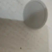 هالوژن چینی|لامپ و چراغ|رشت, چمارسرا|دیوار