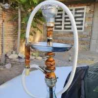 قلیان زرد رگ دار