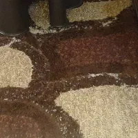 مبلمان راحتی درحدنو|مبلمان خانگی و میز عسلی|میناب, |دیوار