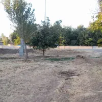 زمین ورودی دقلا مناسب خونه باغی کنار جاده کرمانشاه|فروش زمین و ملک کلنگی|تویسرکان, |دیوار