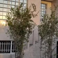 فروش خانه ویلایی ۵۵ متری ۲ خوابه در ابارش|فروش خانه و ویلا|سبزوار, ابارش|دیوار