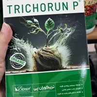 تریکودرما