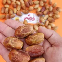 خرمای زاهدی جهرم درجه یک