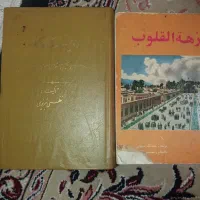چند عنوان کتاب ادبی وتاریخی|کتاب و مجله تاریخی|شیراز, زرگری|دیوار