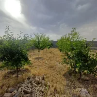 زمین