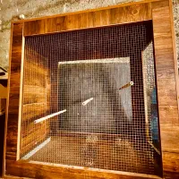 لونه شیک برای عروس مرغ عشق و