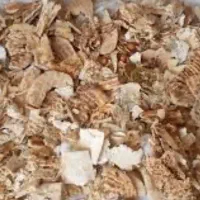 فروش نان خشک