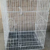 قفس کاسکویی