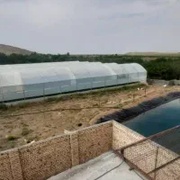 معاوضه و تهاتر ۷۵۰۰ متر زمین و ۲۵۰۰۰ متر گل خانه|فروش آپارتمان|خلجستان, |دیوار