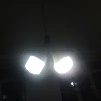 تعداد 95عدد 12وات سالم فقط800هزار