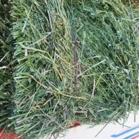 یونجه انباری چین ۲