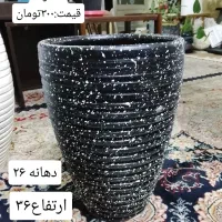 گلدان سفالی|گل و گیاه طبیعی|شاهینشهر, حافظ شمالی|دیوار