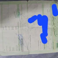 موتور فروشی مدل۸۰پلاک ملی|موتورسیکلت|بایک, |دیوار