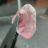 زغال100درصد لیمو جهرم سفره خانه و قهوه خانه