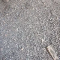 طلا پیدا شده