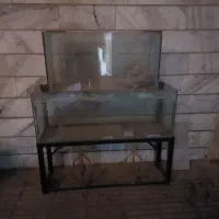 دو عدد اکواریوم به فروش میرسد