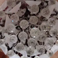 لوستر سالم ونو