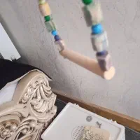 وسایل پرنده کامل برای یک قفس