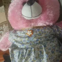 عروسک|اسباب‌بازی بچه|دوگنبدان, |دیوار