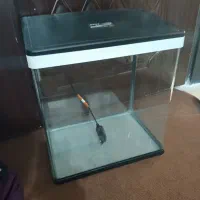 آکواریوم|لوازم جانبی حیوانات|تهران, صاحب الزمان|دیوار