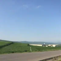 زمین زراعی و باغی ۵۰۰۰مترمربع