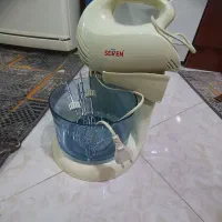 هم زن برقی