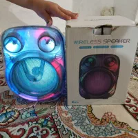 اسپیکرخانگی|سیستم صوتی خانگی|اسفراین, |دیوار