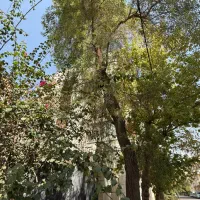 ستارخان/کم واحد / مدرن / کد 1634