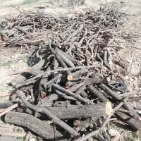 چوب شرکت نوین وپاک چوب وچوبهای هیزمی