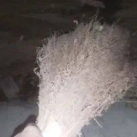 جارو پیشی|لوازم نظافت|زاغه, |دیوار