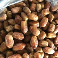 خرمای زاهدی عمده درشت و صادراتی، سر درخت