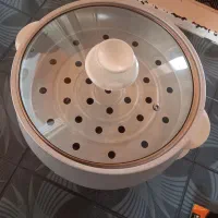 پلوپز و بخار پز برقی