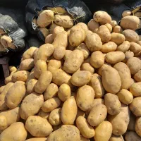 نگهبان شب|استخدام بازاریابی و فروش|رشت, شهرک قدس|دیوار