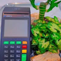 کارتخوان بخر با اقساط ب توان تو قرنی ۱۵