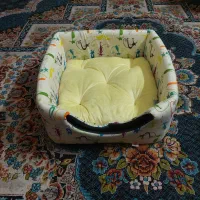 کلبه گربه
