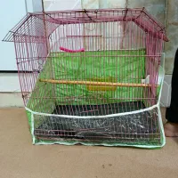 قفس پرنده|لوازم جانبی حیوانات|مشهد, قائم|دیوار