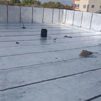 پیمانکاری آسفالت،ایزوگام وقیرگونی مهماندار|خدمات پیشه و مهارت|پارسآباد, |دیوار