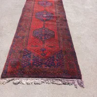 قالیشویی احدی