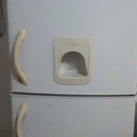 یخچال فریزر الکترو استیل