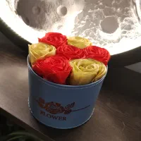 گل ربانی ویژه روز مادر|گل مصنوعی|فولادشهر, سایت صنعتی کاوه|دیوار