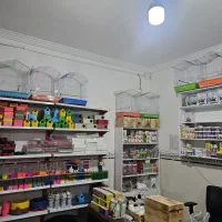 واگذاری پرنده سرای طاووس گلشهر|فروشگاه و مغازه|چابهار, |دیوار