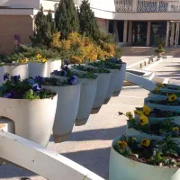 خدمات کامل باغبانی و هرس تخصصی در قم