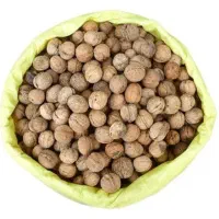 گردوخاک ومغزسفیددرشت