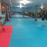 باشگاه رزمی