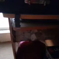 میز،کامپیوتر