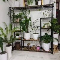 ویلایی ۱۵۰ متری ۱۰۰ متر تا بلوار اصلی